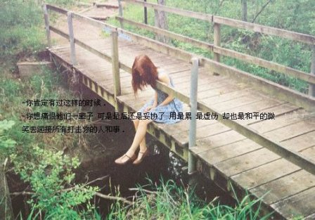 孤独的唯美句子