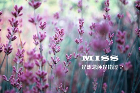 伤感绝情的说说