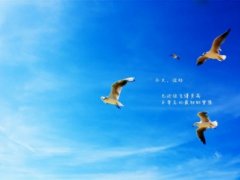 给女人的正能量的句子