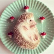 刺猬微信头像图片 微信头像是刺猬的