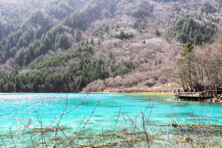 九寨沟地震的说说