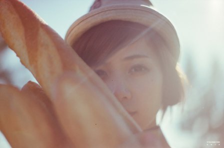 关于月季花的唯美句子