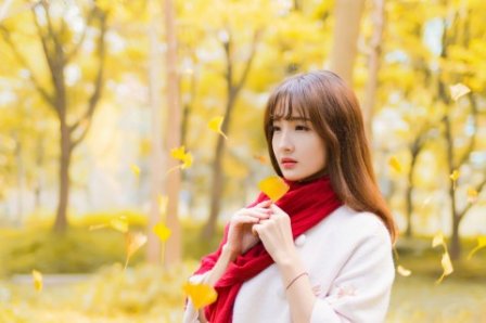 落叶归根伤感句子