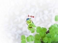 表现凄凉的秋雨句子 描写秋雨凄凉的句子