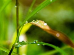 一场秋雨一场寒句子 一场秋雨一场寒的下一句