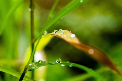 一场秋雨一场寒句子