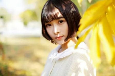描写秋天的优美的句子