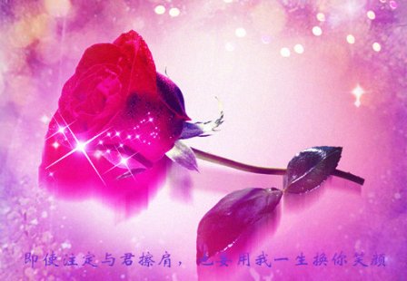形容七夕浪漫的句子