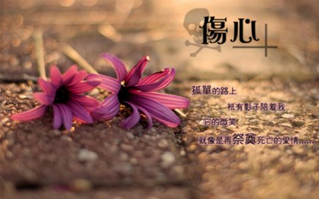 没人聊天的说说