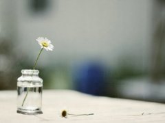 对生活绝望的个性签名 冰冷绝望自嘲个性签名