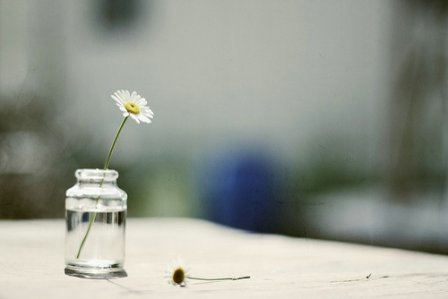 对生活绝望的个性签名