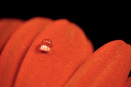 中秋节给老师祝福语