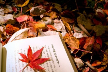 秋天树叶黄的句子
