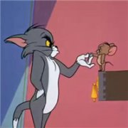 猫抓老鼠卡通头像高清 猫抓老鼠卡通图片