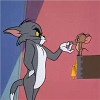 猫抓老鼠卡通头像高清