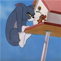 猫抓老鼠卡通头像高清