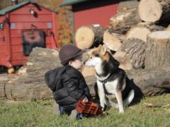表达对宝宝爱意的句子 表达爱意的句子简短