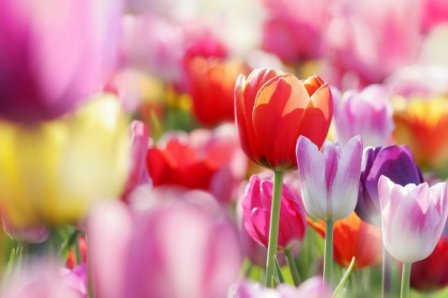 中秋节个性签名2018