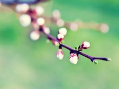 给朋友的中秋节祝福语 中秋节祝福语送朋友
