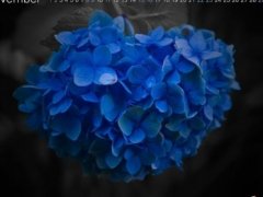 做了可怕的噩梦说说 关于做噩梦害怕的说说