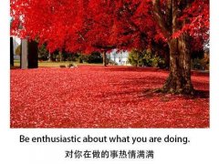 带励志文字的图片 对你在做的事情热情满满