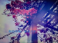 搞笑的中秋节祝福语 中秋节搞笑祝福语