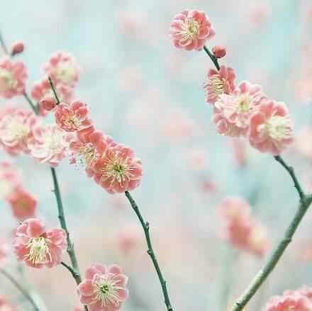 中秋节给领导的祝福语