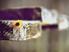 关于吃醋的签名 暗示吃醋的qq签名
