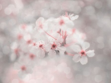 关于中秋节个性签名