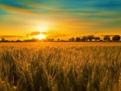 带麦字的昵称 带麦字的网络昵称