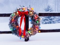 微信昵称带雪字 带雪字的优雅微信昵称
