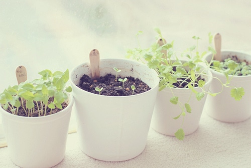 关于新起点的句子 人生新起点励志的句子_经典