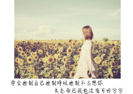 为爱坚持的句子