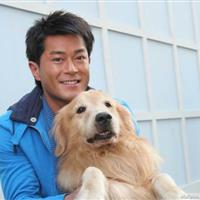 抱着狗的男生头像
