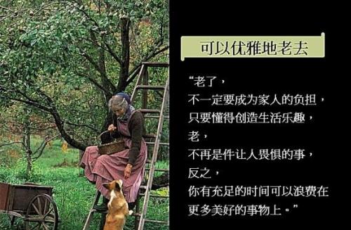 容颜老了的句子