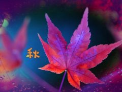 讨厌学校的搞笑说说 搞笑关于学校的说说