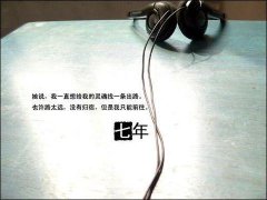 走过了七年之痒的句子