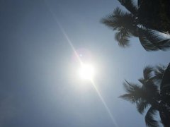 关于太热的说说 太热的说说加图片