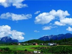 描写弹琴的句子 描写乐器声音的句子