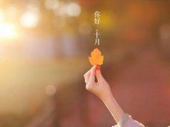 秋天的落叶句子 关于秋天落叶的句子