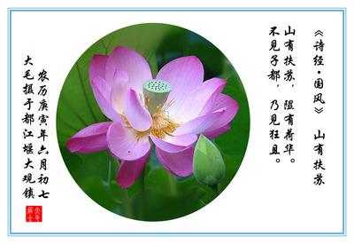 形容古诗的句子