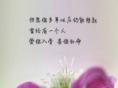 爱你入骨喜你如命