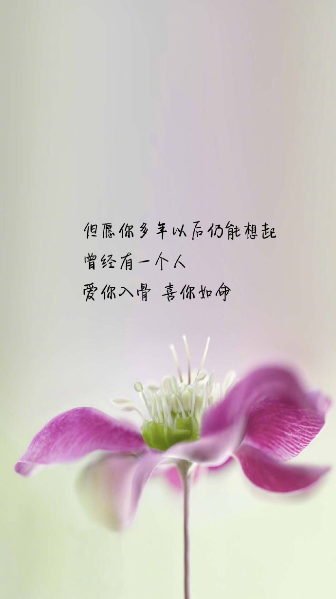 爱你入骨喜你如命