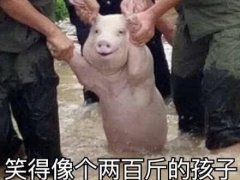 辞职后轻松的心情说说