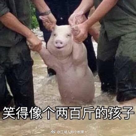 辞职后轻松的心情说说