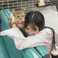 温柔优雅的女生头像