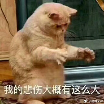 以后不浪了说说