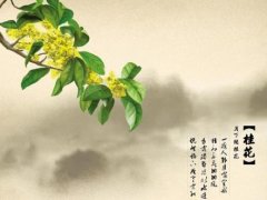 形容香味的句子 形容香味的唯美句子