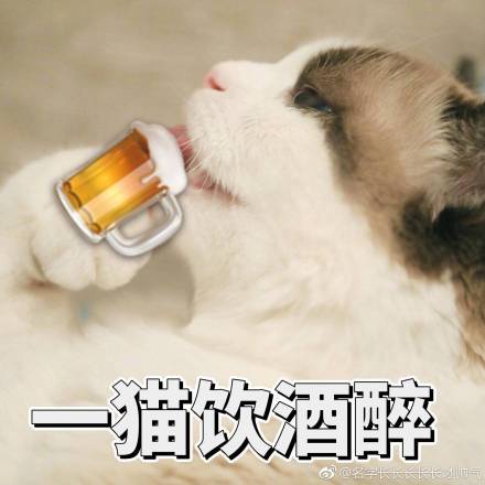 蹭饭的搞笑说说