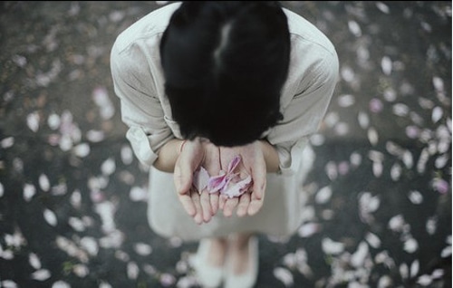 关于看见的说说